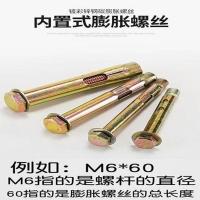 外六角内膨胀螺丝地板膨胀内置式膨胀螺丝内爆内膨胀 M10x200(2个)用12钻头