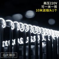 led霓虹灯带 220V高亮柔性灯条 防水防晒 户外轮廓 亮化工程专用 白光 220V单边发光满十米送插头