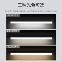 飞利浦酷毙灯带开关插电脑学习LED长条护眼台灯寝室宿舍神器照明 灯0.3米3.4W[黄光3000K] 按钮开关