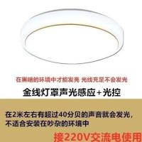 雷达LED感应吸顶灯人体感应声光控过道楼梯楼过道工程走廊声控灯 声光控高亮白光 金线款20cmLED12W