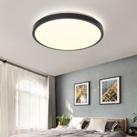卧室灯led吸顶灯圆形客厅灯阳台婚房儿童房间家用灯具灯饰led灯 单层黑 直径20cm白光24瓦