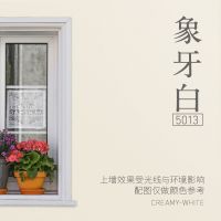 室外乳胶漆外墙防水防晒涂料家用毛胚房户外墙面耐久彩色油漆自刷 象牙白 0.5kg[送工具]
