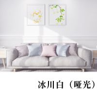 水性自刷乳胶漆内墙漆家用室内修补粉刷墙环保净味翻新改色防水漆 冰川白 120g[送刷子+手套+砂纸]