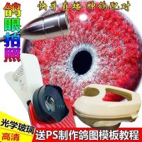 1500倍鸽眼放大镜信鸽用品具高清手机拍鸽眼微距镜鸽子眼拍照