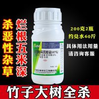 强效除草剂灭大树杀竹子烂根草甘膦斩草除根恶性杂草一扫光连根死 见绿杀烂根型 四季通用1瓶[共200克]+2助剂