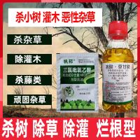 除树剂除草剂环嗪酮杀大树杀树王杀竹子杀木高效除草剂环嗪酮 除草小树苗一套