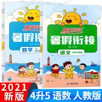 2021新阳光同学暑假衔接教材语文数学英语4升5年级人教版暑假作业 语文+数学 人教版 共2本