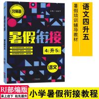 名师派 暑假衔接四升五 小学四年级升五年级衔接教材暑假作业辅导 语文