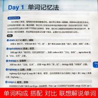 30天学会英语单词 记背神器词根词缀初高中小学英语单词记忆书籍