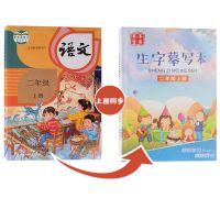 二年级上下册同步练字帖2020新-3硬笔书法练字本板楷书小学生儿童 [100页]二年级上册课本生字同步