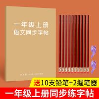 一年级二年级三年级练字帖生字上册下册人教版小学生三年级二年级 一年级上册 语文同步字帖[赠10铅笔2握笔器]