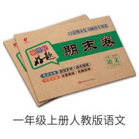 新世纪好题期末卷子人教版北师版苏教版青岛版期末冲刺100分试卷 一年级上册 人教版语文