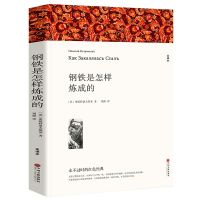 钢铁是怎样炼成的正版原著初中生全译本无删减中文版原著八年级下 钢铁是怎样炼成的(全译本)