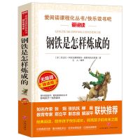 钢铁是怎样炼成的和傅雷家书初中正版原著社人教版原版八年级下书 名师精读 傅雷家书
