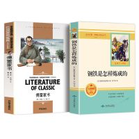 全2册傳雷家书钢铁是怎样炼成的八年级下册课外阅读名著文学书籍 全2本