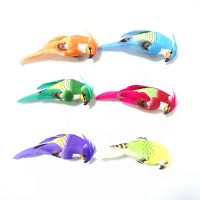 仿真小鹦鹉6只/包不同色泡沫羽毛鸟装饰品园林花草花店植物配饰 小鹦鹉夹子款6只（不同色）