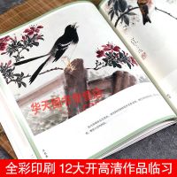江寒汀花鸟画谱 新版 名家课徒稿临本 大师国画技法写意花鸟工笔