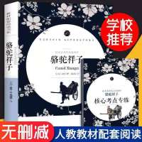 骆驼祥子正版 海底两万里原著 老舍七年级必读下册初中版阅读课 骆驼祥子[192页]