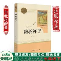 骆驼祥子和海底两万里人民教育出版社正版七年级下册初中生必读书 骆驼祥子 考点+书签