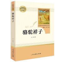 骆驼祥子 原著正版老舍初中生下册课外书籍必读 海底两万里正版 骆驼祥子(人教版) 单本