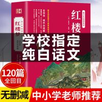 水浒传原著正版白话文学生版初中生小学生青少年版120回无删减完 红楼梦