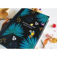 百年孤独正版精装珍藏版纪念版中文版原版范晔翻译加西亚