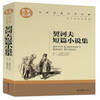 契诃夫短篇小说选 名家名译契科夫国际大奖精选世界名著人教统编 名家名译版 契科夫短篇小说选