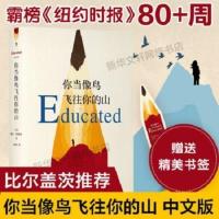 你当像鸟飞往你的山中文版外国现当代文学励志小说书
