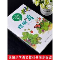 正版搭船的鸟郭风童话集统编版配套同步阅读老师推荐大语文教材推 搭船的鸟*单本.3.0*