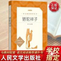 正版 骆驼祥子 老舍 著 人民文学出版社 初中生推荐版本名著 骆驼祥子（人民文学出版社）