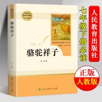 骆驼祥子七年级下册初中版人教版老舍必读世界名著青少年版白话文 收藏优先发货 人生必读 海底两万里