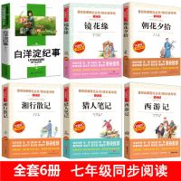 骆驼祥子和海底两万里朝花夕拾正版鲁迅七年级西游记原著初中必读 爱阅读(附带习题和知识考点) 白洋淀纪事(孙犁)
