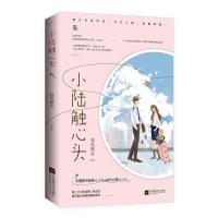 花火系列小说青春都市言情校园霸道总裁电竞甜宠古风小说书籍 [小陆触心头]破镜重圆 甜文