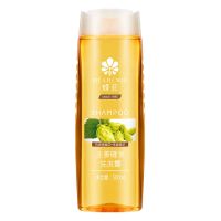 蜂花无硅油生姜去屑洗发水护发素 老牌控油男女士留香洗发露大瓶 无硅生姜洗发水500ml()