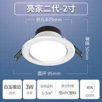 佛山照明吊顶筒灯嵌入式洞灯家用客厅led天花灯铜灯孔灯超亮调色 正白 白玉银边/2寸/3瓦