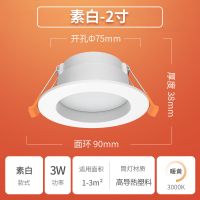 佛山照明led筒灯射灯天花灯家用客厅吊灯过道走廊孔灯嵌入式灯具 暖黄光 素白丨2寸丨3瓦