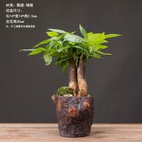 发财树家居装饰品办公客厅茶几绿萝文竹陶瓷花盆招财创意桌面摆件 财松盆-地利盆+发财树+苔藓+小石头