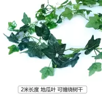 仿真树皮管道装饰假树贴墙天然树皮植物 76片地瓜叶一包