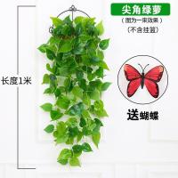 仿真植物壁挂假花藤条藤蔓绿植墙面客厅室内绿萝吊兰装饰挂墙吊篮 过胶绿萝壁挂 不带花篮