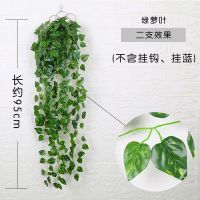 仿真植物藤条墙面装饰室内壁挂花藤垂吊客厅绿萝挂墙假花吊兰藤蔓 绿萝2束（不含篮子）