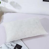 枕头套装枕头芯枕芯一对装学生宿舍必备成人可爱少女心情侣可拆洗 白枕芯 一只枕芯[无枕套]