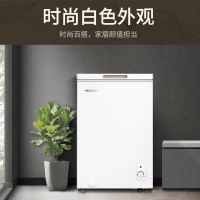 美菱冰柜冷柜家用商用冷冻冷藏卧式冷柜BC/BD-100DT白