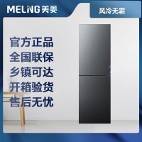 美菱冰箱两门二门双开门BCD-308WECX