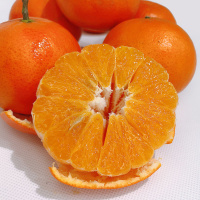 赣南脐橙 600g±50g