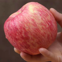 19.8℃苹果礼盒