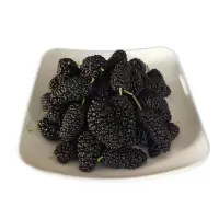 桑葚盒装