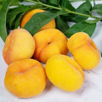 蟠桃500g±50g(盒)