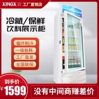 星星(XINGX)饮料展示柜冷藏展示立式冰柜饮料啤酒保鲜展示柜透明玻璃单门展示 冷藏柜 LSC-303G