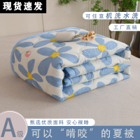夏凉被四季通用夏凉被单双人被机洗被子薄款通用成人双午睡被