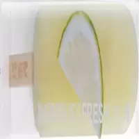 鲜果鲜语青柠棒冰70g